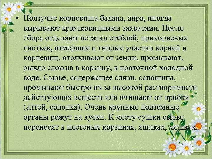  • Ползучие корневища бадана, аира, иногда вырывают крючковидными захватами. После сбора отделяют остатки