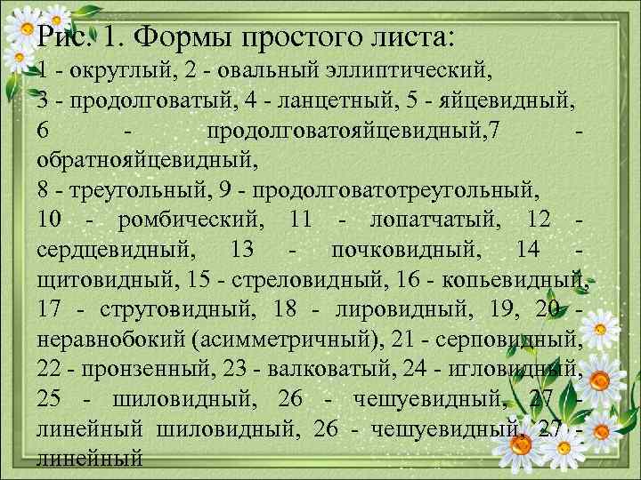 Рис. 1. Формы простого листа: 1 округлый, 2 овальный эллиптический, 3 продолговатый, 4 ланцетный,