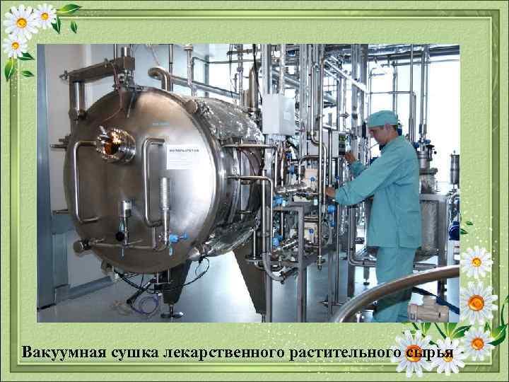 Вакуумная сушка лекарственного растительного сырья 