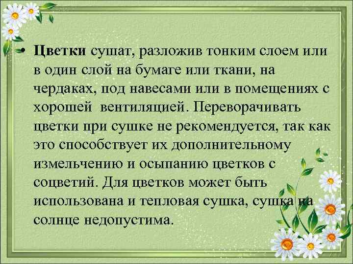  • Цветки сушат, разложив тонким слоем или в один слой на бумаге или