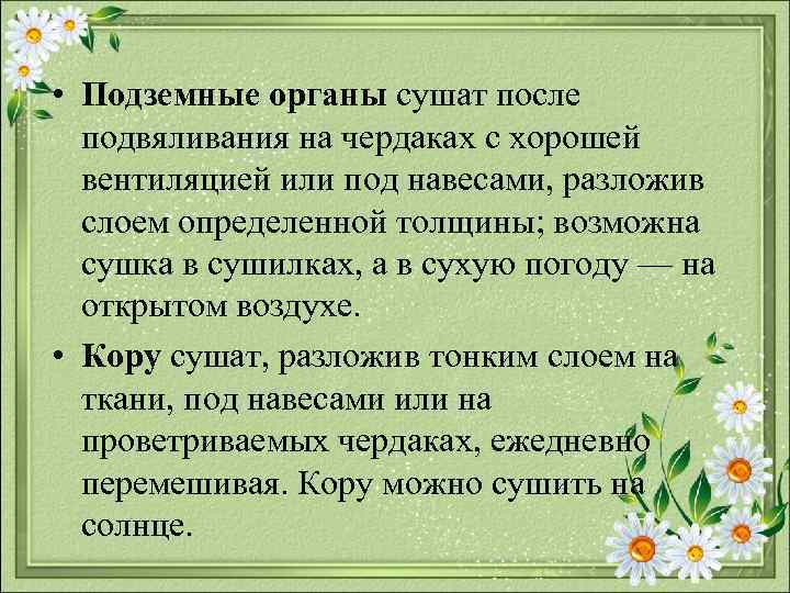  • Подземные органы сушат после подвяливания на чердаках с хорошей вентиляцией или под