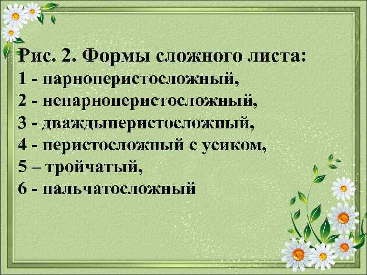 Рис. 2. Формы сложного листа: 1 парноперистосложный, 2 непарноперистосложный, 3 дваждыперистосложный, 4 перистосложный с