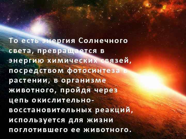 То есть энергия Солнечного света, превращается в энергию химических связей, посредством фотосинтеза в растении,