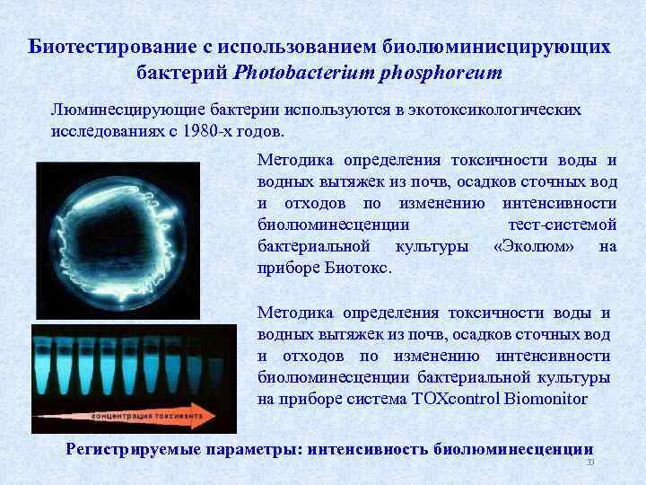 Биотестирование. Методы биотестирования. Биотестирование сточных вод. Бактерии для биотестирования воды. Биотестирование воды на токсичность.