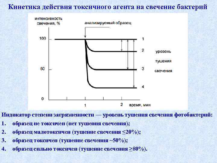 Кинетика действия токсичного агента на свечение бактерий Индикатор степени загрязненности — уровень тушения свечения