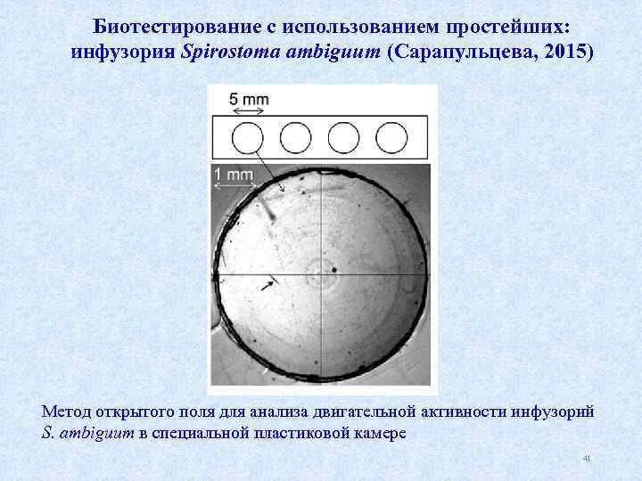 Биотестирование с использованием простейших: инфузория Spirostoma ambiguum (Сарапульцева, 2015) Метод открытого поля для анализа