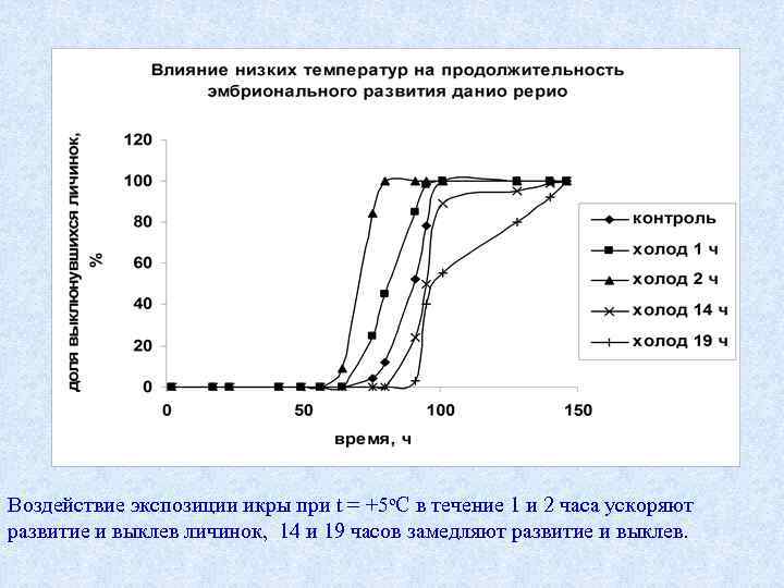 Воздействие экспозиции икры при t = +5 о. С в течение 1 и 2