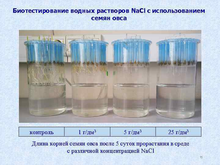 Биотестирование водных растворов Na. Cl с использованием семян овса контроль 1 г/дм 3 5