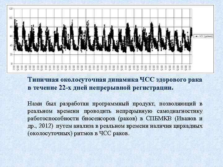 Типичная околосуточная динамика ЧСС здорового рака в течение 22 -х дней непрерывной регистрации. Нами