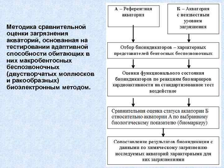 Методика сравнительной оценки загрязнения акваторий, основанная на тестировании адаптивной способности обитающих в них макробентосных