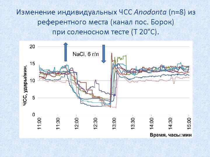 Изменение индивидуальных ЧСС Anodonta (n=8) из референтного места (канал пос. Борок) при соленосном тесте