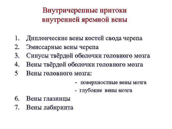 Внутричерепные притоки внутренней яремной вены 1. 2. 3. 4. 5 Диплоические вены костей свода