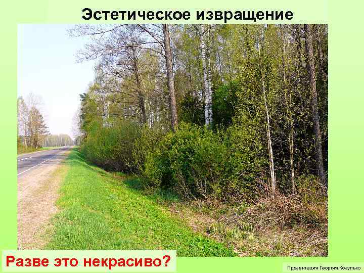 Эстетическое извращение Разве это некрасиво? Презентация Георгия Козулько 