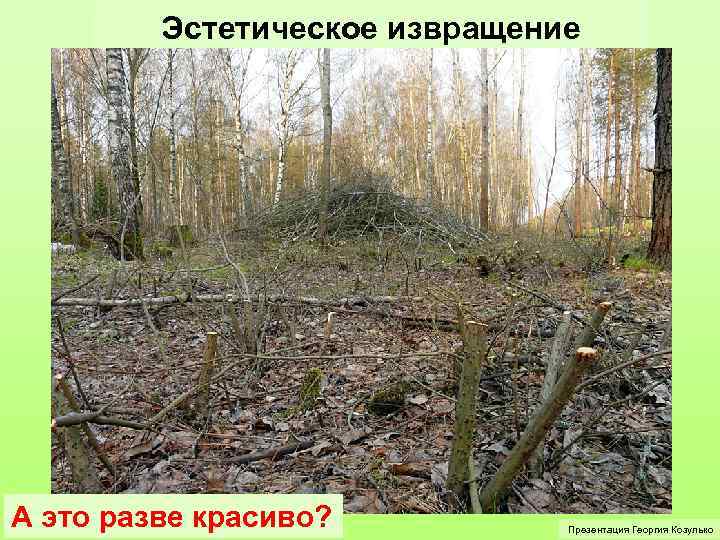 Эстетическое извращение А это разве красиво? Презентация Георгия Козулько 