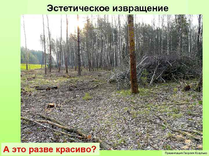 Эстетическое извращение А это разве красиво? Презентация Георгия Козулько 