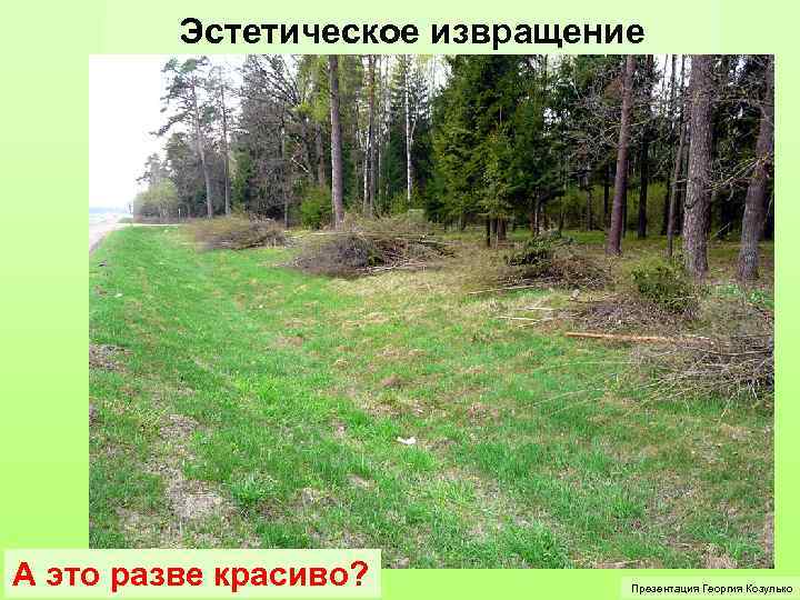 Эстетическое извращение А это разве красиво? Презентация Георгия Козулько 