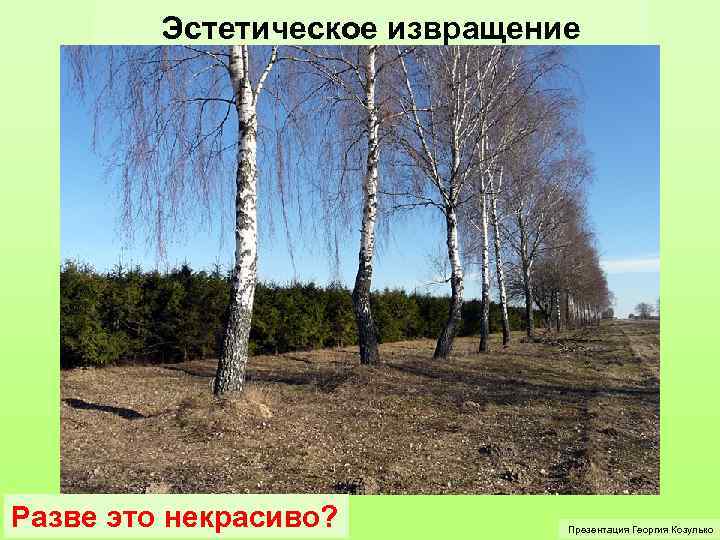 Эстетическое извращение Разве это некрасиво? Презентация Георгия Козулько 