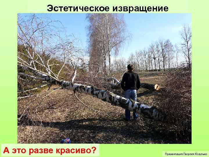 Эстетическое извращение А это разве красиво? Презентация Георгия Козулько 