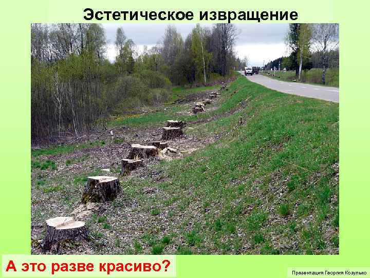 Эстетическое извращение А это разве красиво? Презентация Георгия Козулько 