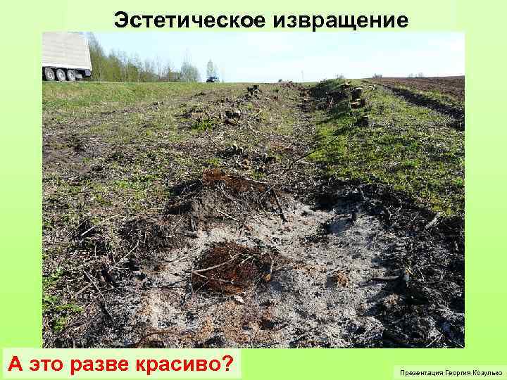 Эстетическое извращение А это разве красиво? Презентация Георгия Козулько 