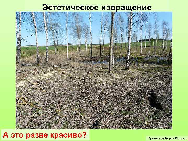 Эстетическое извращение А это разве красиво? Презентация Георгия Козулько 