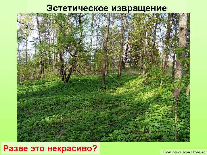 Эстетическое извращение Разве это некрасиво? Презентация Георгия Козулько 