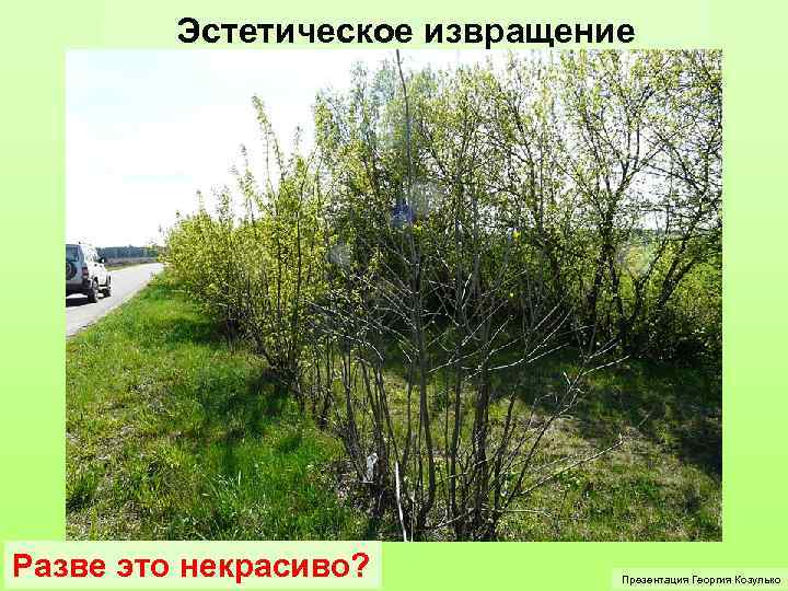 Эстетическое извращение Разве это некрасиво? Презентация Георгия Козулько 