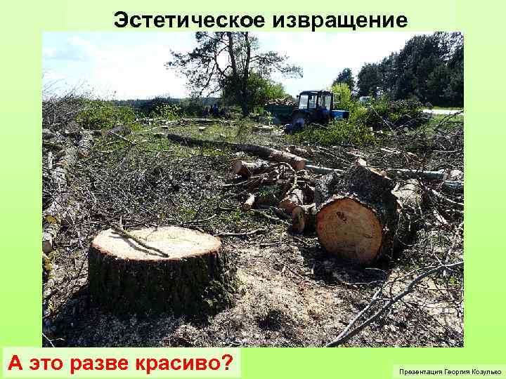 Эстетическое извращение А это разве красиво? Презентация Георгия Козулько 