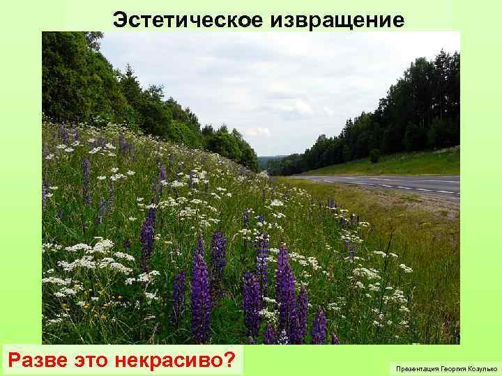 Эстетическое извращение Разве это некрасиво? Презентация Георгия Козулько 