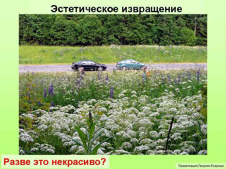 Эстетическое извращение Разве это некрасиво? Презентация Георгия Козулько 