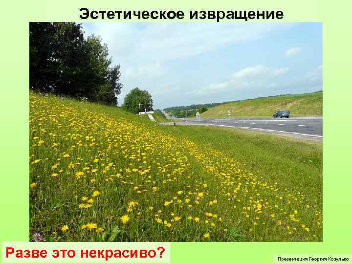 Эстетическое извращение Разве это некрасиво? Презентация Георгия Козулько 