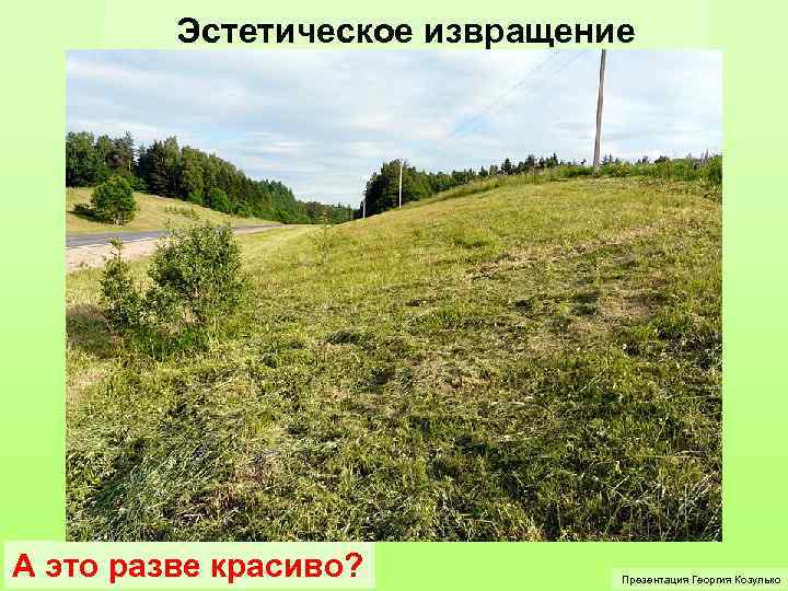 Эстетическое извращение А это разве красиво? Презентация Георгия Козулько 