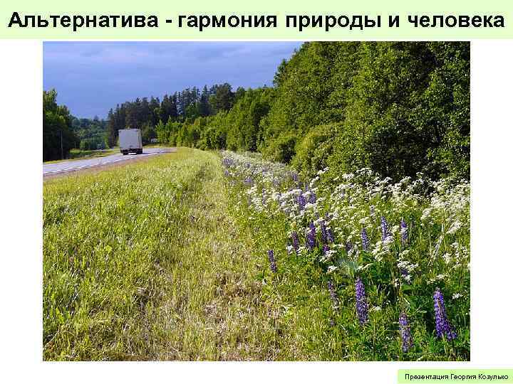 Альтернатива - гармония природы и человека Презентация Георгия Козулько 
