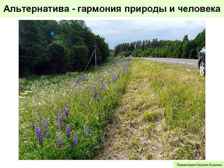 Альтернатива - гармония природы и человека Презентация Георгия Козулько 