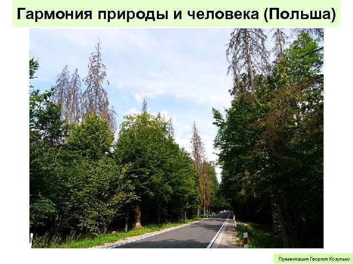Гармония природы и человека (Польша) Презентация Георгия Козулько 