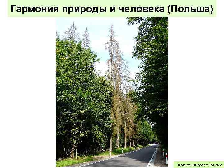 Гармония природы и человека (Польша) Презентация Георгия Козулько 