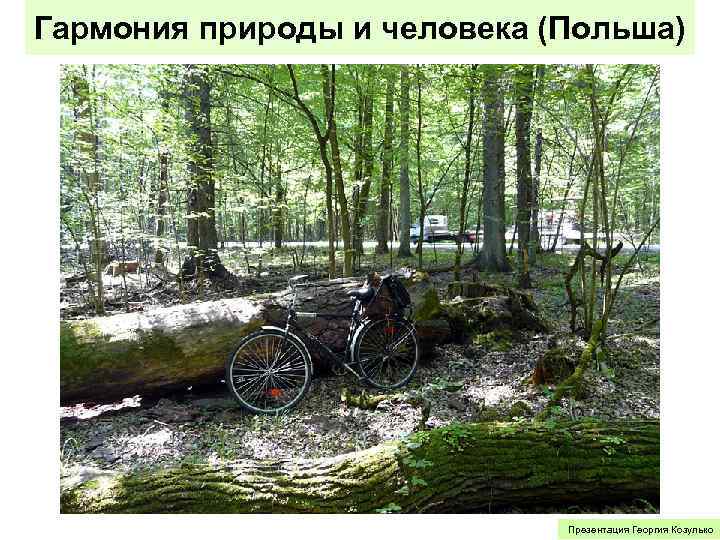 Гармония природы и человека (Польша) Презентация Георгия Козулько 