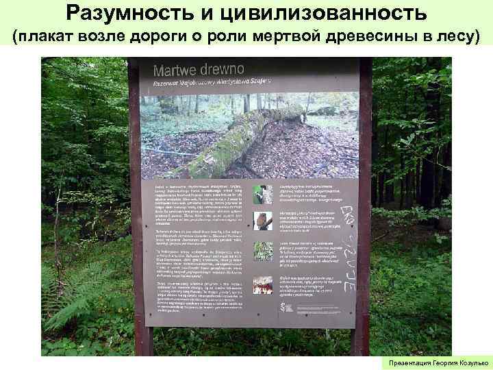 Разумность и цивилизованность (плакат возле дороги о роли мертвой древесины в лесу) Презентация Георгия