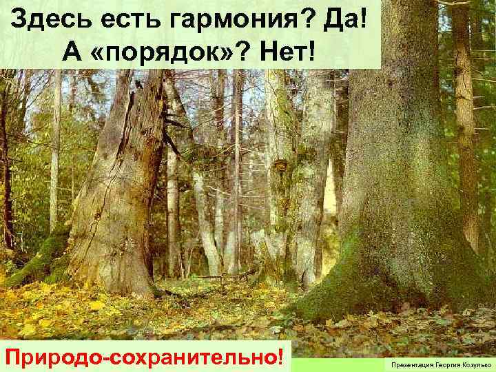 Здесь есть гармония? Да! А «порядок» ? Нет! Природо-сохранительно! Презентация Георгия Козулько 