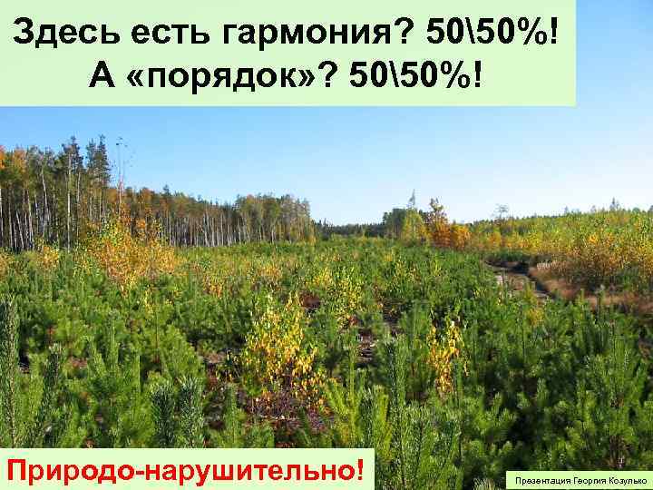 Здесь есть гармония? 5050%! А «порядок» ? 5050%! Природо-нарушительно! Презентация Георгия Козулько 