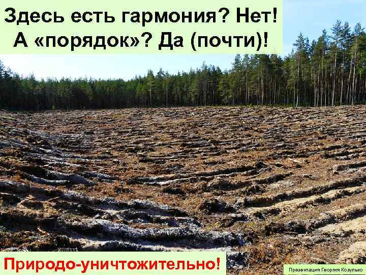 Здесь есть гармония? Нет! А «порядок» ? Да (почти)! природо-сохранительно? Природо-уничтожительно! Презентация Георгия Козулько