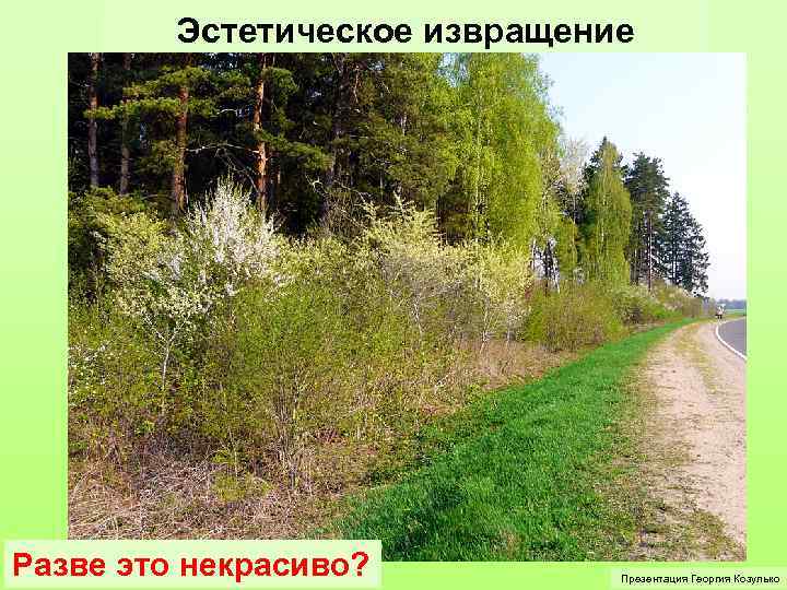 Эстетическое извращение Разве это некрасиво? Презентация Георгия Козулько 