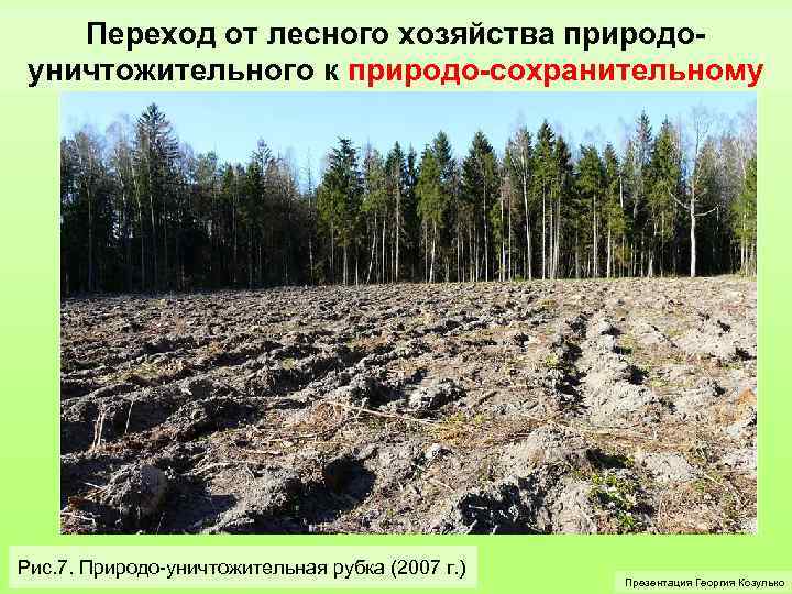 Переход от лесного хозяйства природоуничтожительного к природо-сохранительному Рис. 7. Природо-уничтожительная рубка (2007 г. )