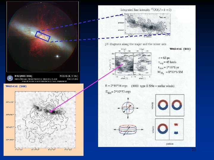 Weiß et al. (2001) Weiß et al. (1999) 23 