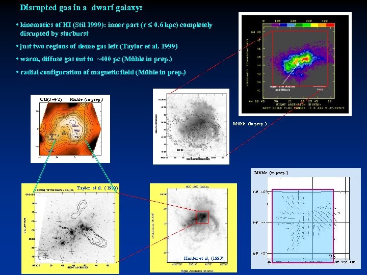 Disrupted gas in a dwarf galaxy: • kinematics of HI (Stil 1999): inner part