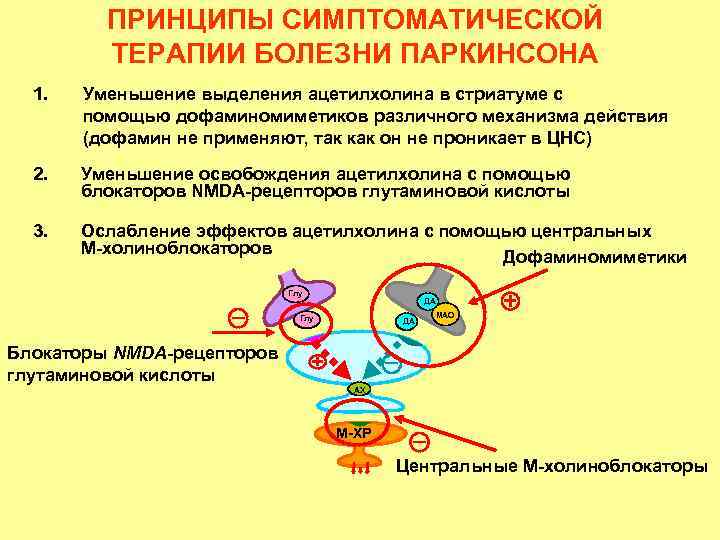 ПРИНЦИПЫ СИМПТОМАТИЧЕСКОЙ ТЕРАПИИ БОЛЕЗНИ ПАРКИНСОНА 1. Уменьшение выделения ацетилхолина в стриатуме с помощью дофаминомиметиков