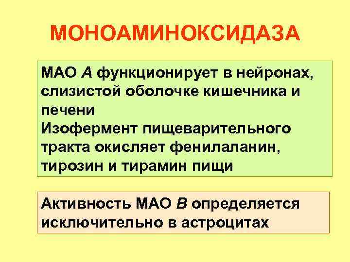 МОНОАМИНОКСИДАЗА МАО А функционирует в нейронах, слизистой оболочке кишечника и печени Изофермент пищеварительного тракта