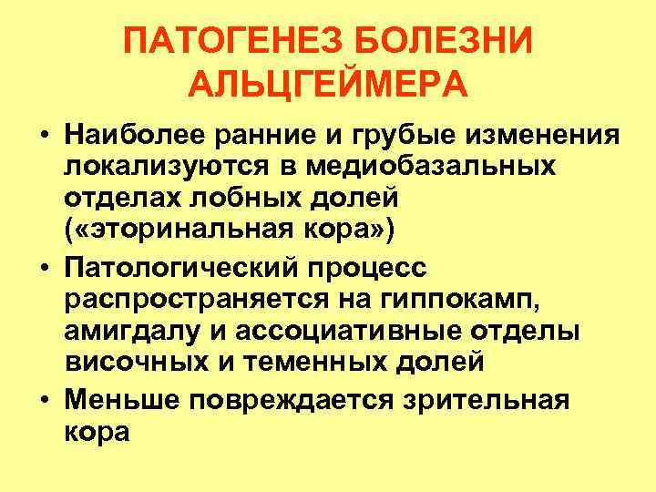 ПАТОГЕНЕЗ БОЛЕЗНИ АЛЬЦГЕЙМЕРА • Наиболее ранние и грубые изменения локализуются в медиобазальных отделах лобных