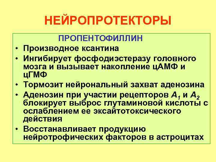 НЕЙРОПРОТЕКТОРЫ • • • ПРОПЕНТОФИЛЛИН Производное ксантина Ингибирует фосфодиэстеразу головного мозга и вызывает накопление