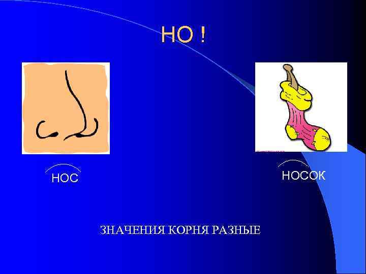 НО ! НОСОК НОС ЗНАЧЕНИЯ КОРНЯ РАЗНЫЕ 